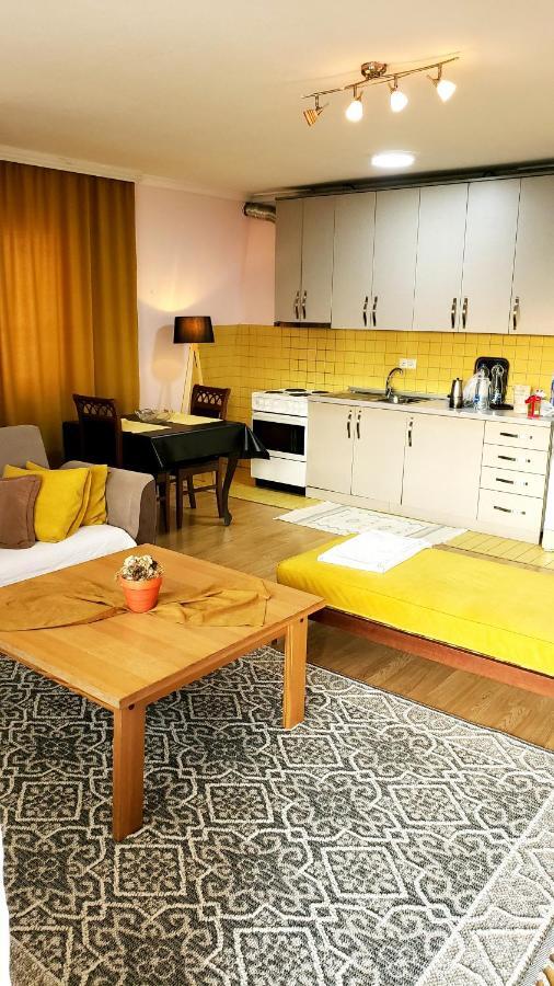 Spacious Downtown Apartment With A City View Πρίστινα Εξωτερικό φωτογραφία