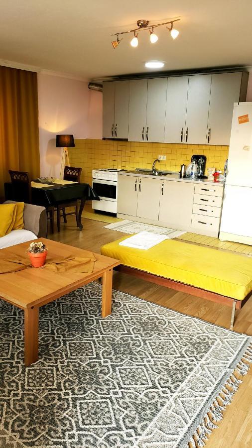 Spacious Downtown Apartment With A City View Πρίστινα Εξωτερικό φωτογραφία
